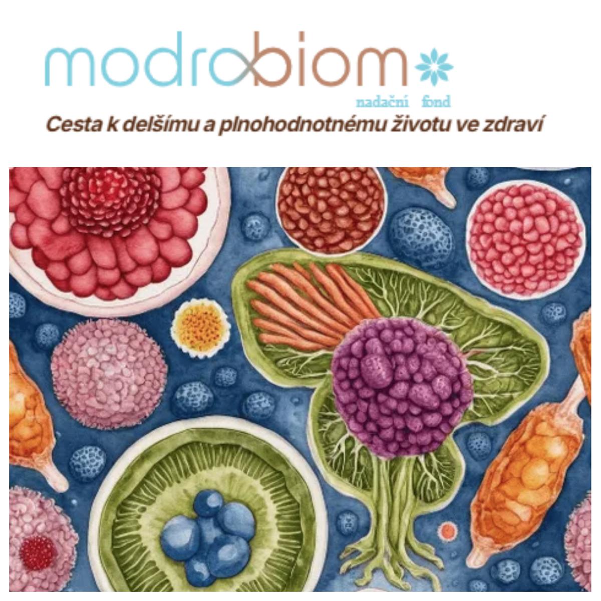 KAŽDÝ KUBÍK PEČUJE o střevní kulturu